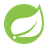 Spring Boot logo